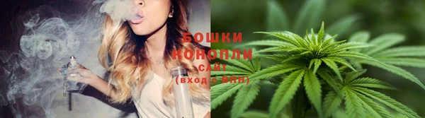 Альфа ПВП Вязьма