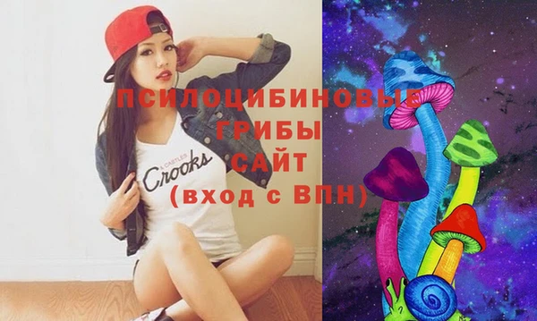 Альфа ПВП Вязьма